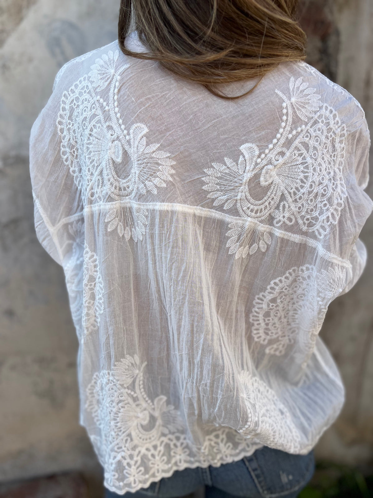Vivienne™ | Women's Lace Blouse Long Sleeve Button Down Embroidered Top